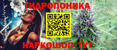 прущие грибы Тверь