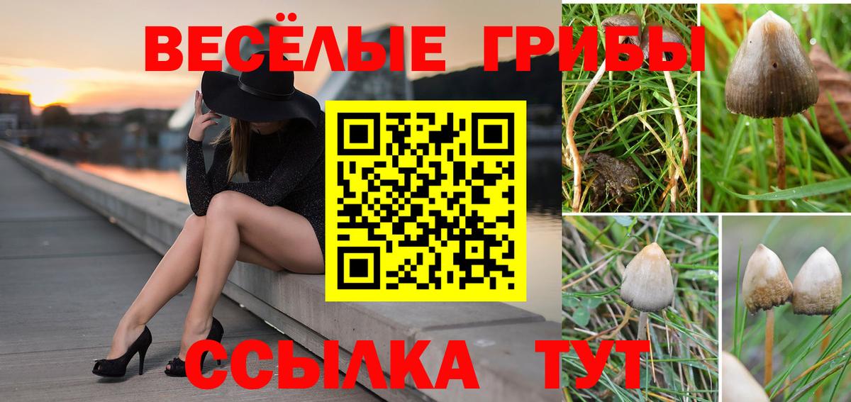Галлюциногенные грибы мицелий  Вход с VPN  Псилоцибиновые грибы MAGIC MUSHROOMS  Октябрьский 